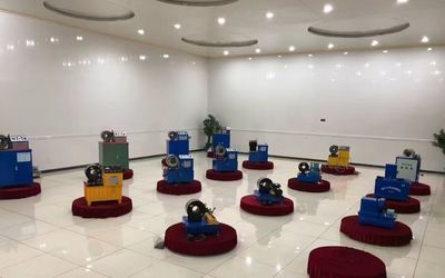 Chiny Shanghai Fanying Machinery Technology Co., Ltd. Profil przedsiębiorstwa